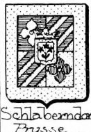 Schlaberndorf Coat of Arms / Family Crest 1