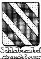 Schlaberndorf Coat of Arms / Family Crest 0