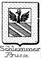 Schlemmer Coat of Arms / Family Crest 0