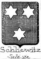 Schliewitz Coat of Arms / Family Crest 9