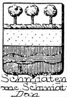 Schmidten Coat of Arms / Family Crest 0