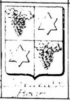 Schmitt Coat of Arms / Family Crest 0