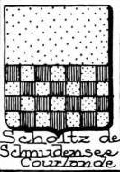 Scholtz Coat of Arms / Family Crest 1