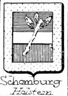 Schomburg Coat of Arms / Family Crest 0