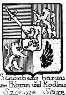 Schonberg Coat of Arms / Family Crest 13