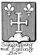 Schonberg Coat of Arms / Family Crest 14