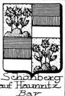 Schonberg Coat of Arms / Family Crest 15
