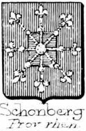 Schonberg Coat of Arms / Family Crest 9