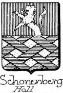 Schonenberg Coat of Arms / Family Crest 5