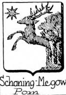Schoning Coat of Arms / Family Crest 1