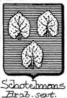 Schotelmans Coat of Arms / Family Crest 0