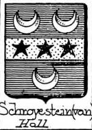 Schroyestein Coat of Arms / Family Crest 0