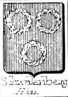 Schwalenberg Coat of Arms / Family Crest 0