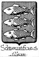 Schweinfues Coat of Arms / Family Crest 0
