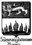 Schwunghammer Coat of Arms / Family Crest 0