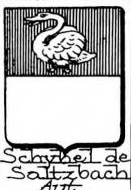 Schyhel Coat of Arms / Family Crest 0