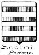 Scoini Coat of Arms / Family Crest 0