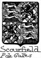 Scourfield Coat of Arms / Family Crest 2