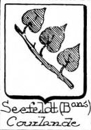 Seefeldt Coat of Arms / Family Crest 2