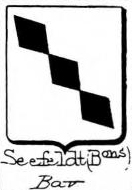 Seefeldt Coat of Arms / Family Crest 3