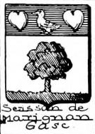 Seissan Coat of Arms / Family Crest 0