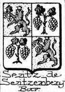Seiz Coat of Arms / Family Crest 1