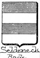 Seldeneck Coat of Arms / Family Crest 5
