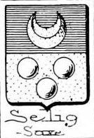 Selig Coat of Arms / Family Crest 0