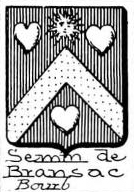 Semin Coat of Arms / Family Crest 0
