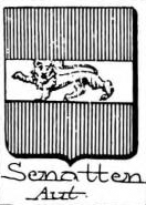 Senatten Coat of Arms / Family Crest 0