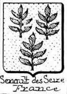 Senault Coat of Arms / Family Crest 0