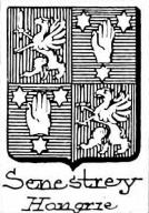 Senestrey Coat of Arms / Family Crest 0