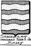 Sennecey Coat of Arms / Family Crest 0