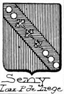 Seny Coat of Arms / Family Crest 1