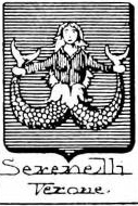 Serenelli Coat of Arms / Family Crest 1