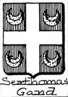 Serthomas Coat of Arms / Family Crest 0