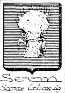 Sevin Coat of Arms / Family Crest 0