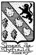 Shiers Coat of Arms / Family Crest 1