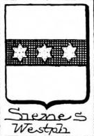 Sienes Coat of Arms / Family Crest 0