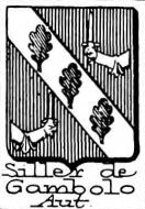 Siller Coat of Arms / Family Crest 0