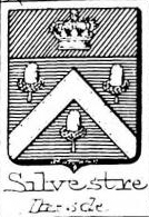 Silvestre Coat of Arms / Family Crest 2