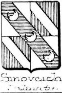 Sinovcich Coat of Arms / Family Crest 0