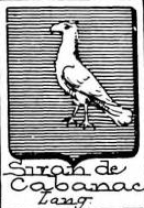 Siran Coat of Arms / Family Crest 0