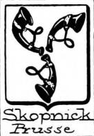 Skopnick Coat of Arms / Family Crest 0