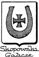 Skopowski Coat of Arms / Family Crest 0