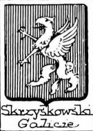 Skrzyskowski Coat of Arms / Family Crest 0