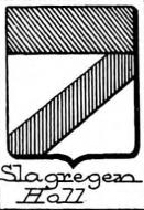 Slagregen Coat of Arms / Family Crest 0