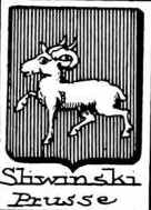 Sliwinski Coat of Arms / Family Crest 0