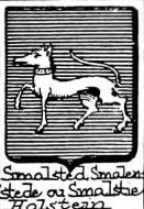 Smalsted Coat of Arms / Family Crest 0