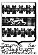 Snowe Coat of Arms / Family Crest 0